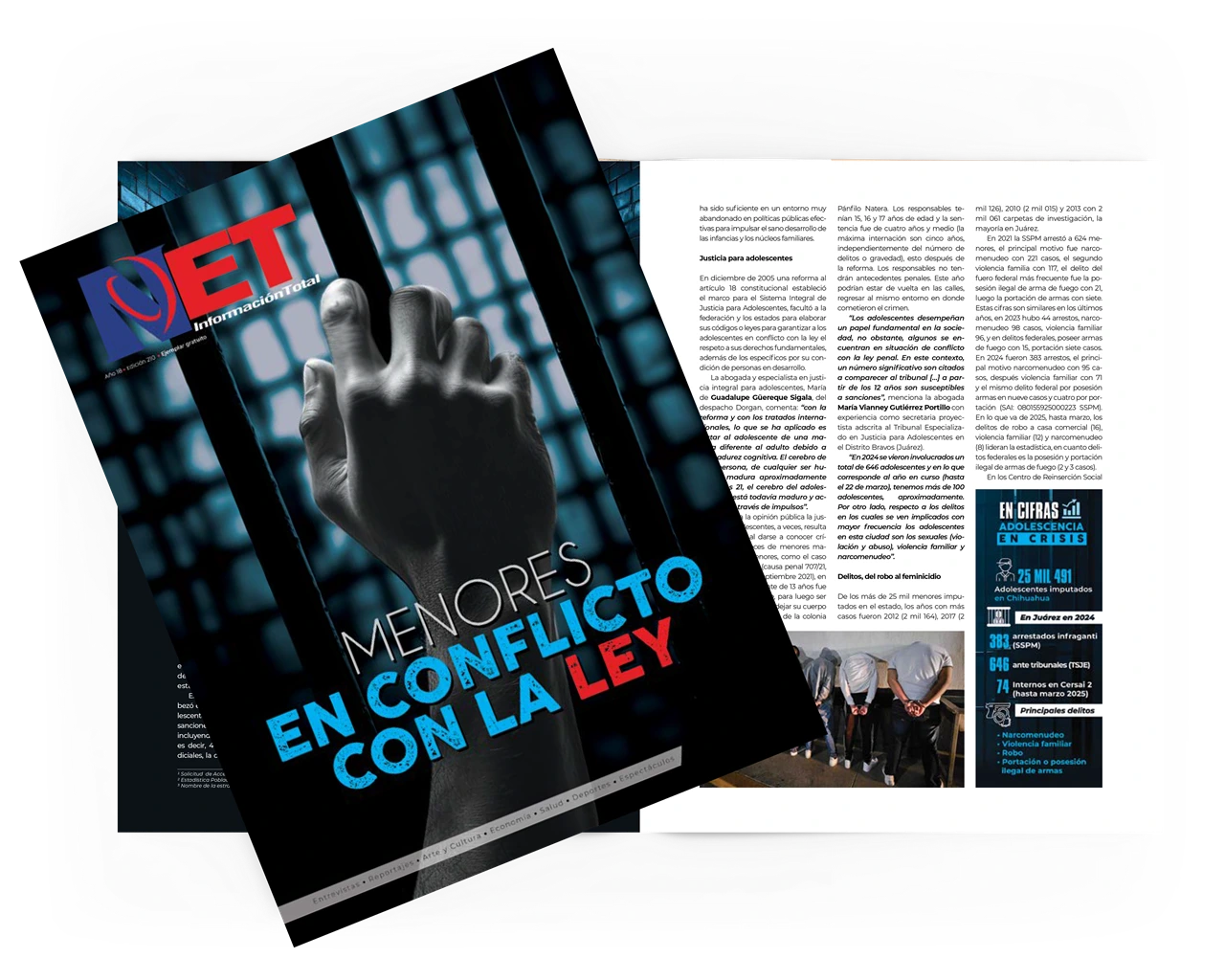 Revista NET