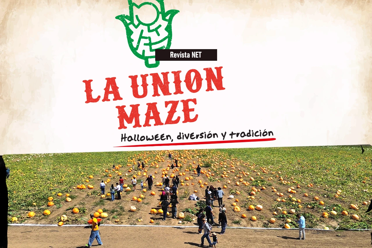 Edicion Juárez